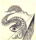 Ojos